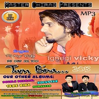 Tum Bina-TG Negi Vicky